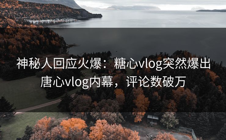 神秘人回应火爆：糖心vlog突然爆出唐心vlog内幕，评论数破万