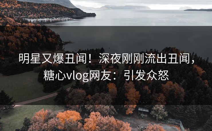 明星又爆丑闻！深夜刚刚流出丑闻，糖心vlog网友：引发众怒