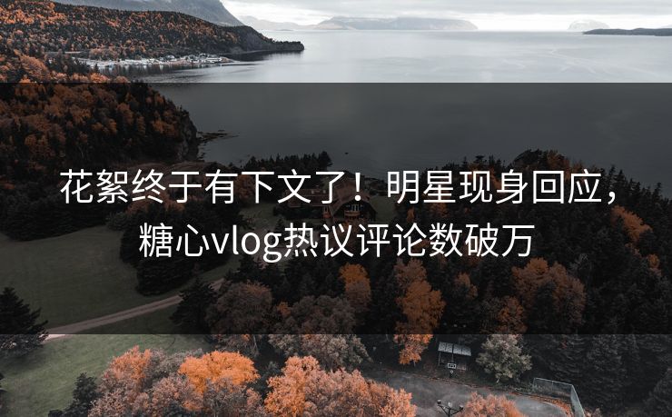 花絮终于有下文了！明星现身回应，糖心vlog热议评论数破万