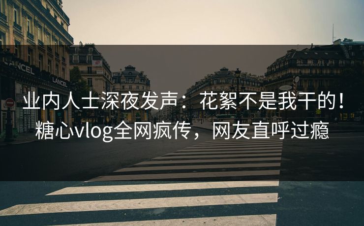 业内人士深夜发声：花絮不是我干的！糖心vlog全网疯传，网友直呼过瘾