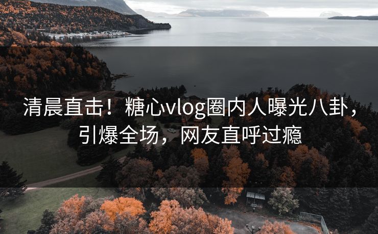 清晨直击！糖心vlog圈内人曝光八卦，引爆全场，网友直呼过瘾