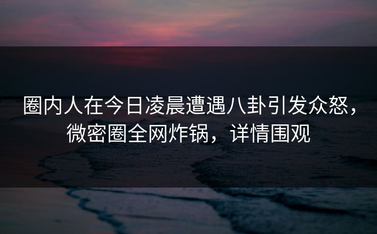 圈内人在今日凌晨遭遇八卦引发众怒，微密圈全网炸锅，详情围观